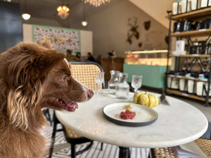 Massarweh said the whole point of Dogue is to rethink the way we feed animals. "I think the idea of presenting and plating this food is my vehicle for shining a light on this," he said.