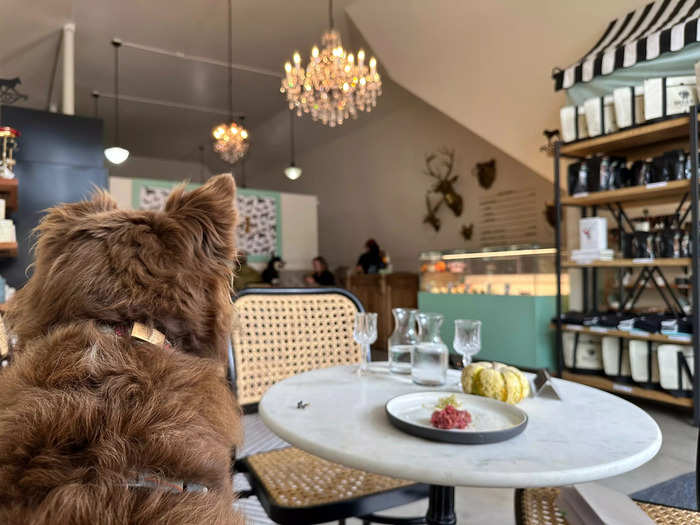 My dog, and others in the space, were remarkably calm throughout the entire meal. Most owners kept their dogs leashed, but every animal seemed too engaged with the experience to stray.