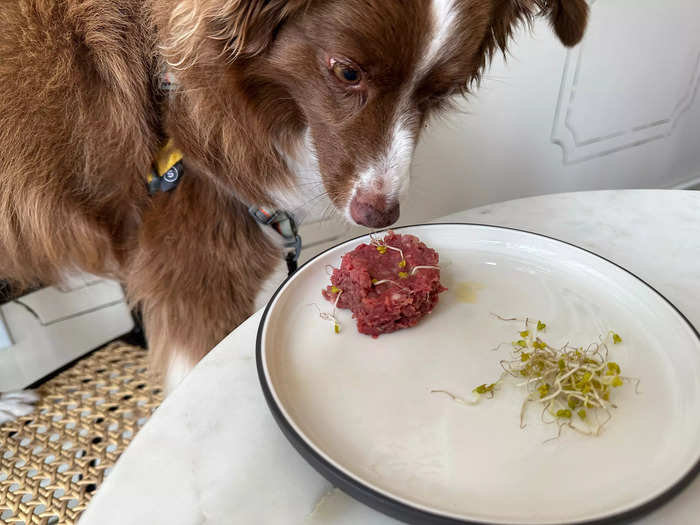 Sprouts removed, she regained interest in the beef, but seemed to be getting full. Massarweh serves the same portions to every dog who visits the cafe, but Dogue