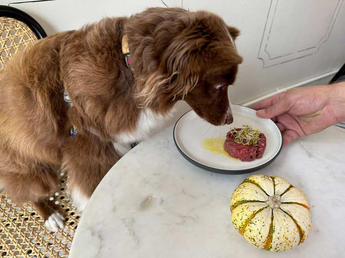 The steak tartare looked nearly identical to a restaurant dish for humans. Massarweh said he