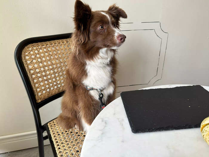 Heidi was decidedly less well-behaved as Massarweh displayed the final course. She jumped onto the table to get closer, and probably would have jumped onto this plate if she could