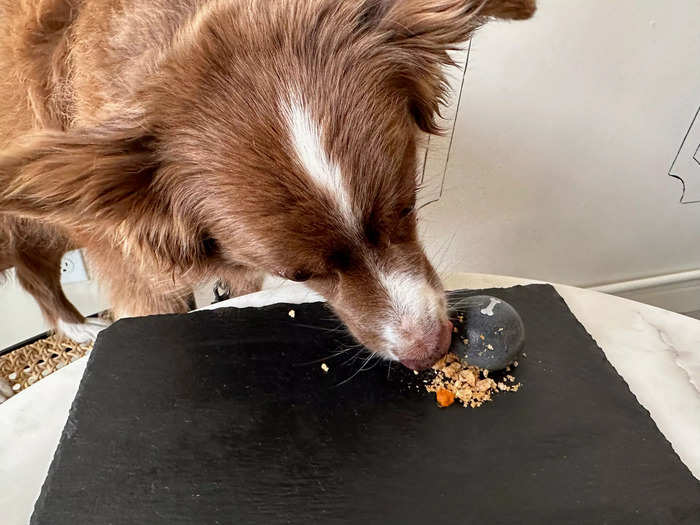 Heidi paused after licking the gelatinous flan, briefly confused. She ate the garnish first, but pushed through to finish the entire dish.