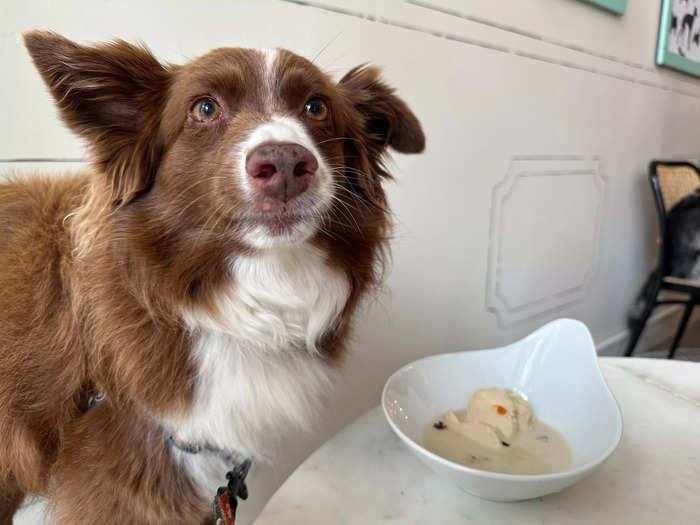 Dogue owner, chef Massarweh, poured the broth for Heidi tableside — just as a server at a restaurant might do for a human patron. It