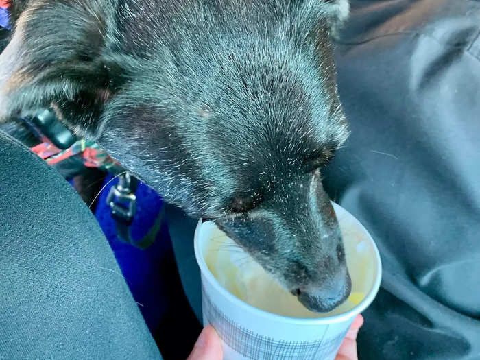 The human touch was nice to have, especially when the worker asked if my dog wanted a cup of whipped cream.