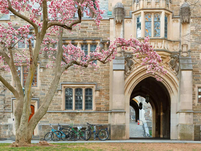 11. Princeton University