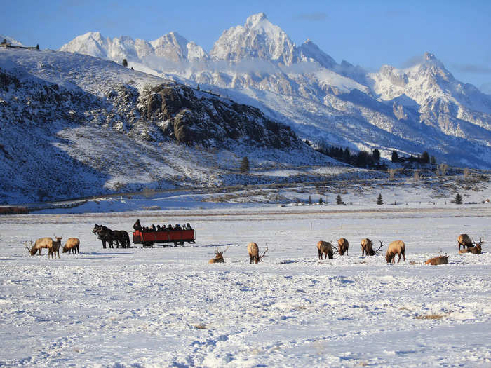 I can get my fill of snowmobiling and sleigh rides with a trip to Jackson Hole, Wyoming.