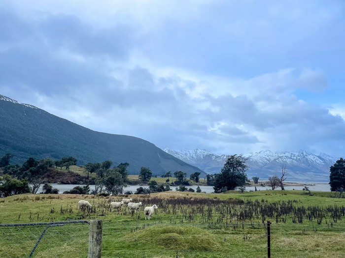 As I hopped back on the Glenorchy-Queenstown road, I said goodbye to a place I