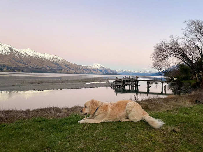 Or the friendly dogs, who made the property feel more like a home than a hotel.