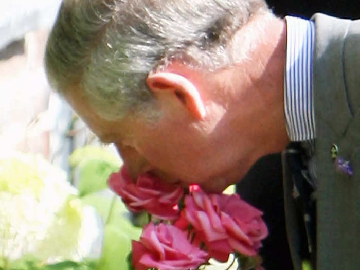 He stops to smell the roses.