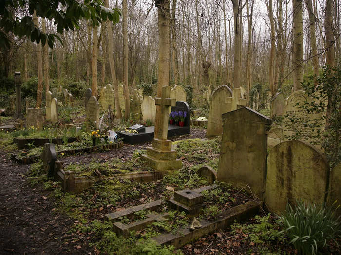 Highgate Cemetery is no run-of-the-mill graveyard. It