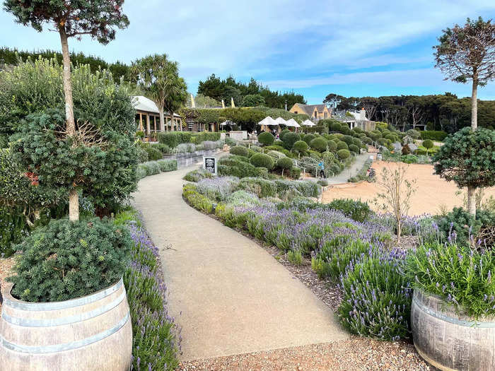 One of my first stops was Mudbrick Vineyard, where I planned to do what Vogue says locals, tourists, and wealthy visitors do — sip wine.