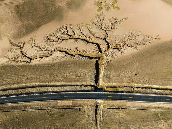 Photographer Li Ping won the Grand Prize, using a drone to capture this photo of a highway cutting across tree-shaped gullies in Tibet.