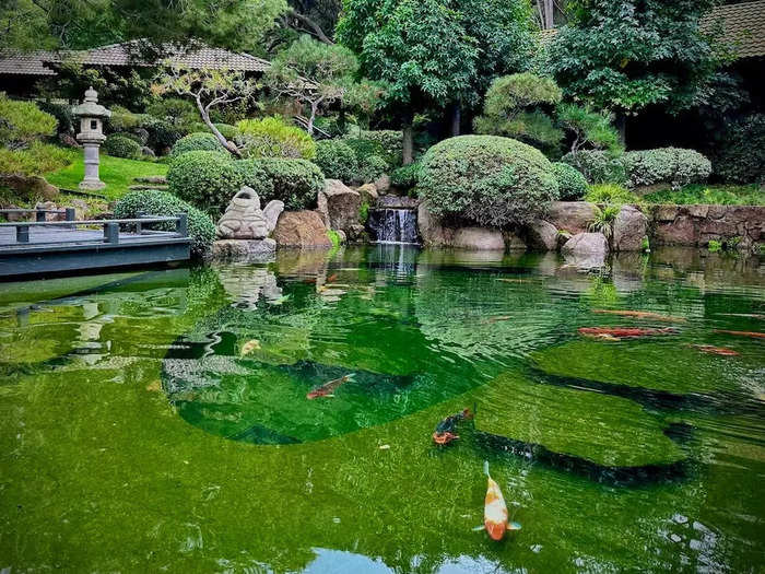 The delicate and delightful Wild Blue Crab and Avocado Stack was served for lunch at a table overlooking a peaceful pond.