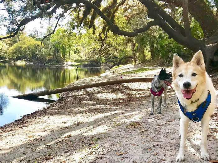 Take a leisurely hike at Lake Runnymede Conservation Area.