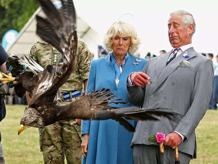 The royal family have cameras on them at all times, even during their most candid moments. Photographers captured King Charles and Camilla being startled by a bald eagle in 2015.