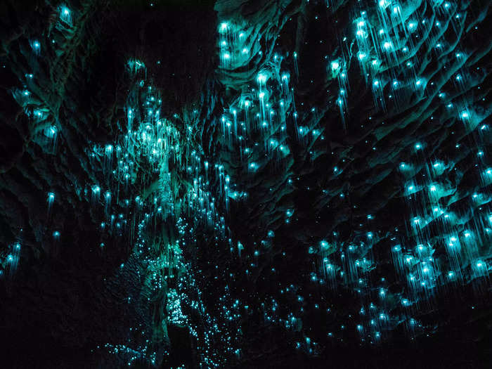 Another old aircraft lives just down the road from the Waitomo Caves in New Zealand, which are home to the world-famous glowworms.