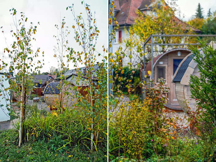 On the morning of our departure, I got up early for one final walk through the garden. I thought the barrels complemented the plants, giving the whole space a peaceful, calming vibe.