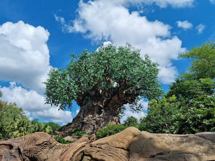 After using Genie+ in the Magic Kingdom and Epcot, I decided not to purchase it again for the following day when we went to Animal Kingdom and Disney