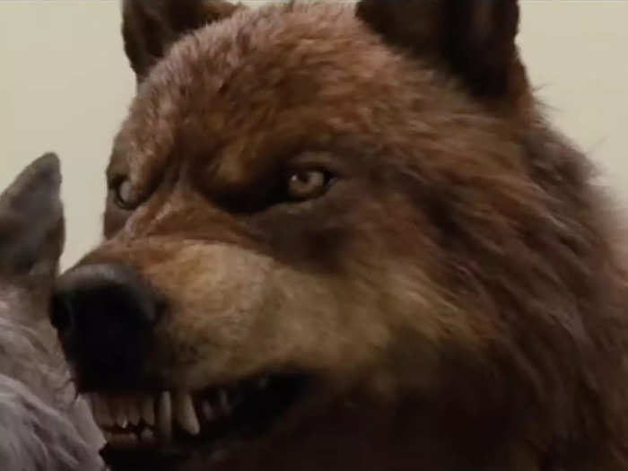 Jacob is one of the only werewolves who dislikes his abilities.