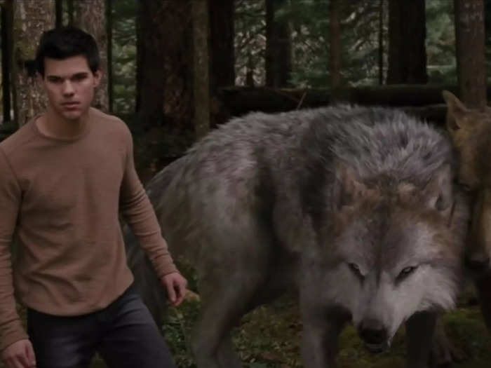 Jacob is more powerful than the other werewolves.