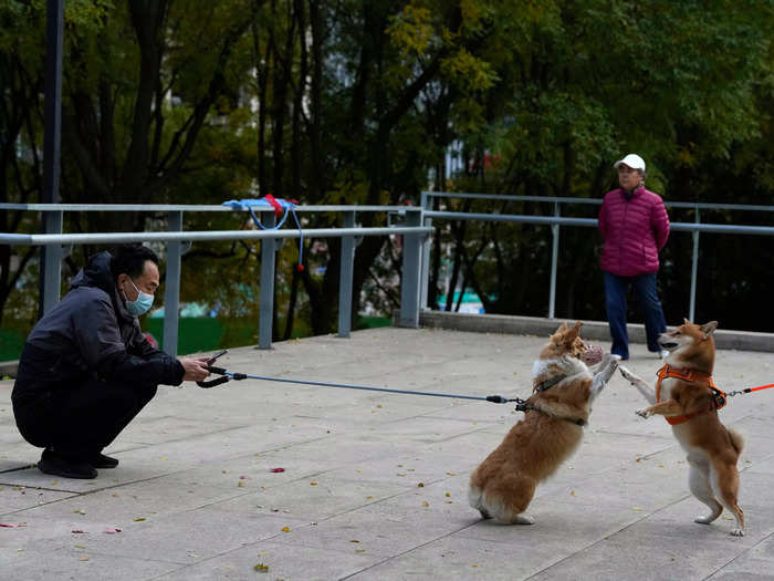 Residents still partake in some recreational activities. Somewhere in the Beijing central business district, a man brings out his dog to play.