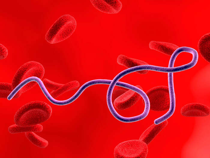 20 years ago, a Lymedisease vaccine was taken off the market. Now, 2