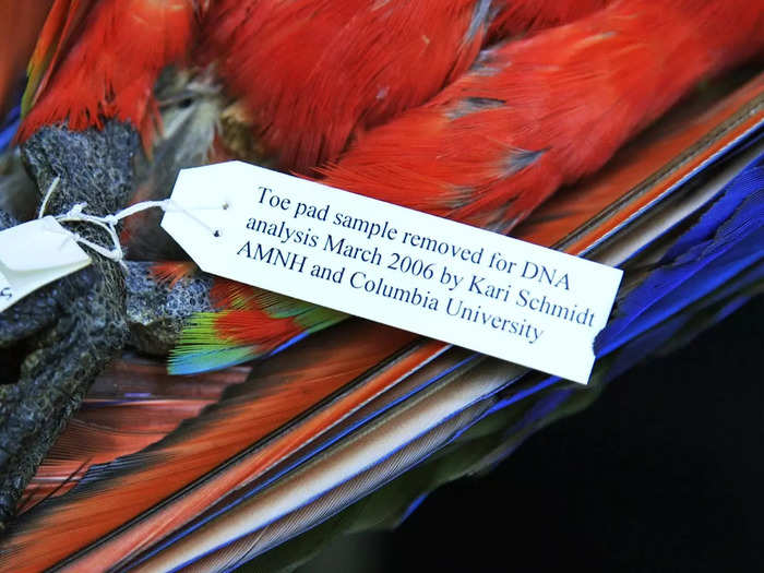 Specimens get a special label if that kind of work is done. A small sample can offer researchers the specimen’s entire genomic data.