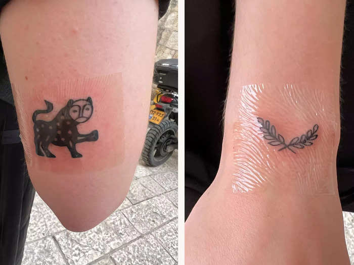 I got two small tattoos: an olive branch and a lion.