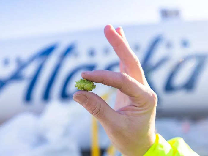 Then one day Spotts had an idea: If Alaska Airlines could ship fresh salmon to the lower 48 states and around the world, why couldn