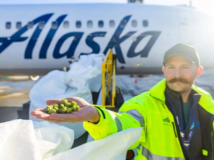 In an industry first, Alaska Airlines delivered 1,287 pounds of farm-fresh Pacific Northwest hops to Maui and Anchorage so local breweries could make West Coast IPAs.