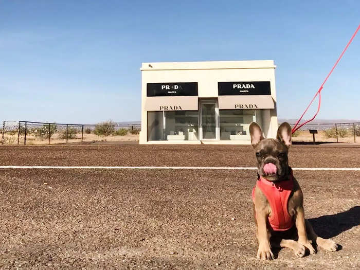 I like to browse the many art galleries in the heart of Marfa and when I have time, I squeeze in a drive to Prada Marfa, an art installation that