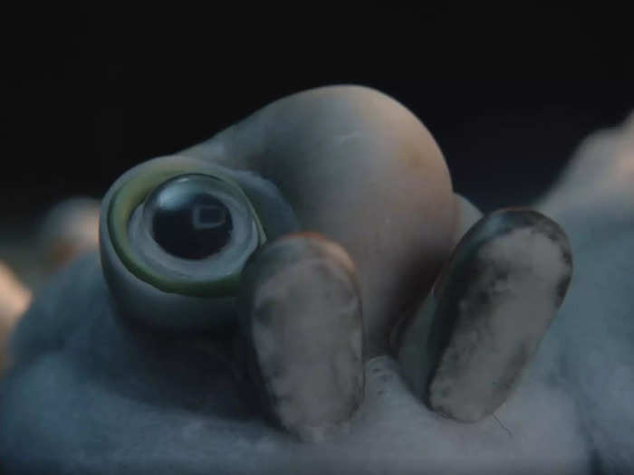 "Marcel the Shell With Shoes On" was hailed as heartfelt.