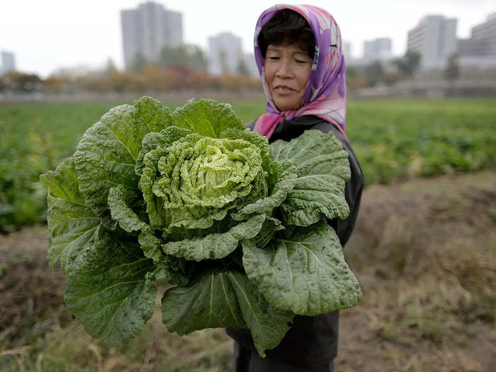 Following a catastrophic famine in the 1990s, North Korea pushed to increase its agricultural production. Still, food insecurity in the region is alarmingly high, the UN recently said.