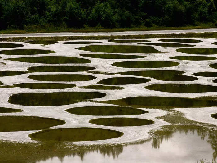 21. Spotted Lake