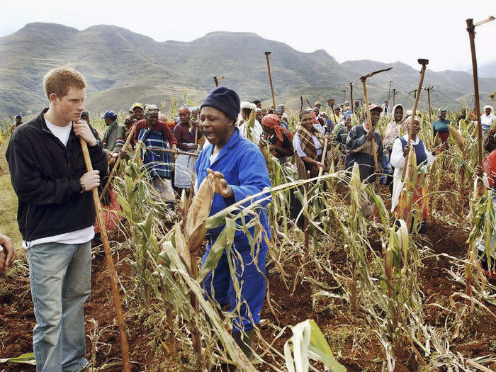 While visiting Lesotho in 2006, Harry took part in charity work across the region.