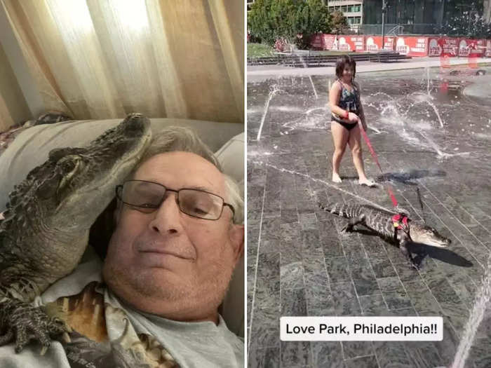 Joie Henry shocked Philadelphians when he took his emotional support alligator, Wally, out for a walk