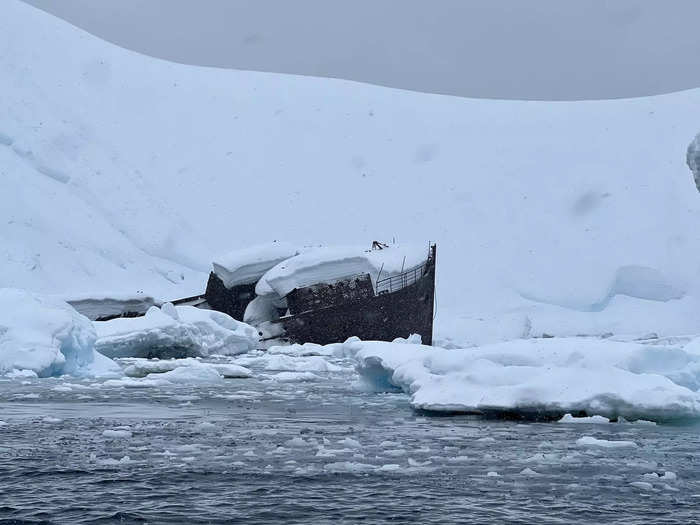 However, sometimes ice blocked certain landing sites and we instead spent hours just riding around and looking at the glaciers, sea animals, and icebergs, which was actually my favorite part of the trip.