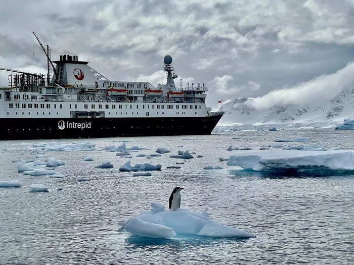 My incredible 9-night journey was on the 200-person Ocean Endeavor expedition ship, where rooms can cost passengers over $10,000. Here’s what the trek was like.