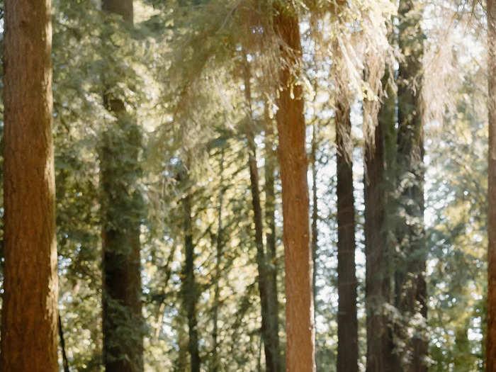 Nature added to the beauty of many wedding photos.