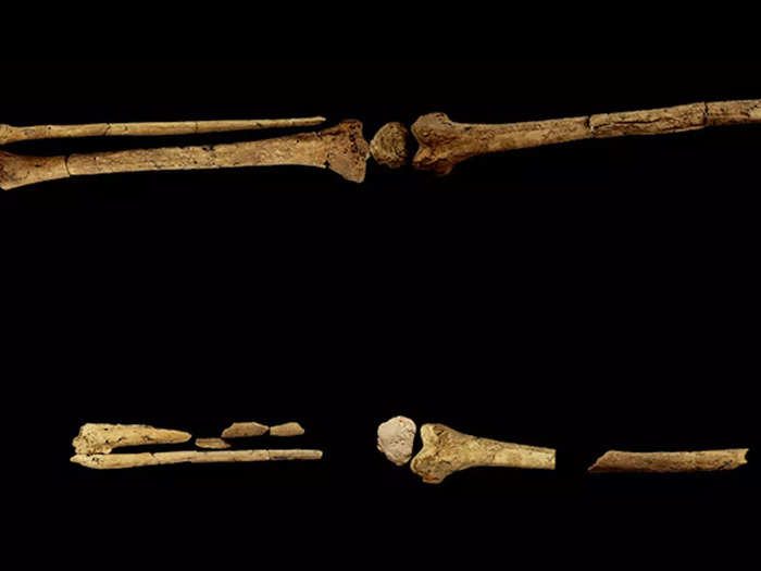 A 31,000-year-old Stone Age skeleton reveals the world