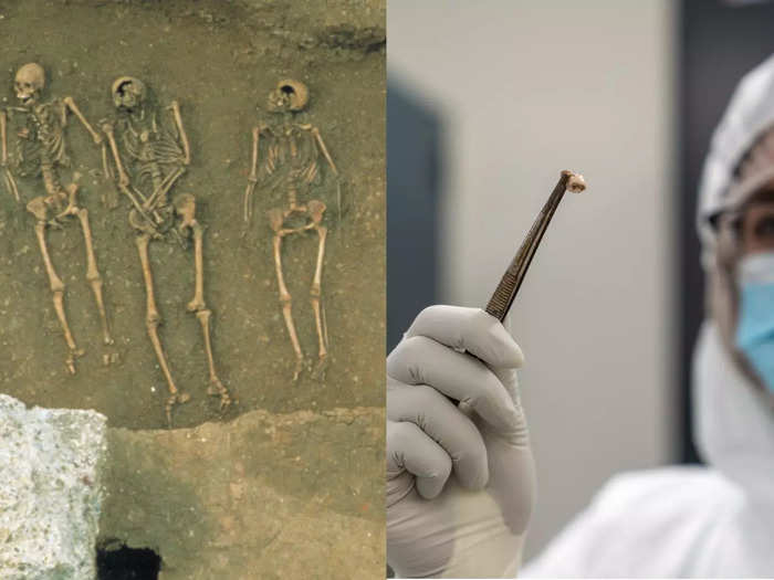 Study found the Black Death permanently altered the human immune system, leaving a vulnerability that persists 670 years later