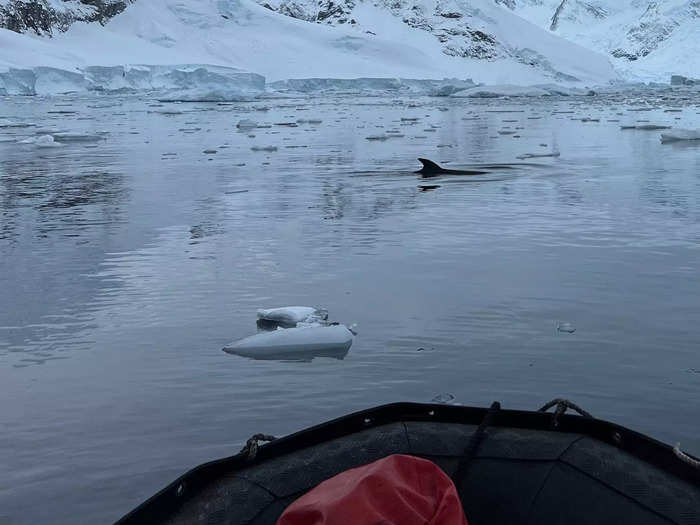 This means our 200-person boat broke up landings into groups. If you make it to shore, be aware that you cannot let anything touch the ice, except for your boots and walking sticks.