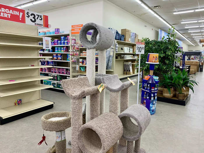 There was a surprisingly robust pet section, with toys, food, treats, and cat trees.