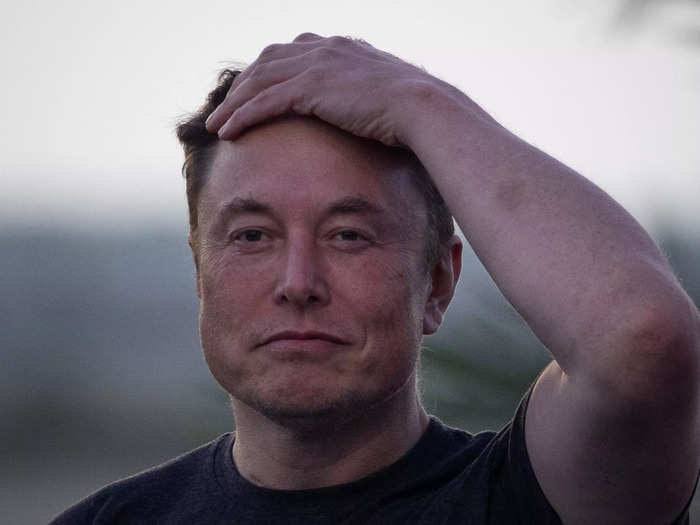 Elon Musk, the CEO of Tesla, SpaceX, and Twitter, lost $132 billion.