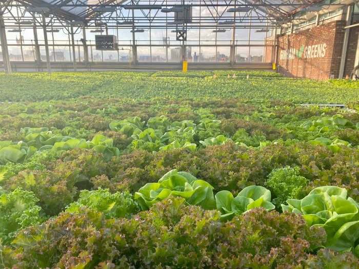 The second Gotham Greens hydroponic greenhouse was built in 2013 on top of Whole Foods Market