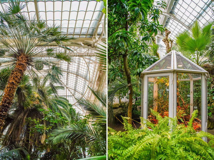 I thought the Palm House was peaceful and fascinating, and an unexpected surprise since I was initially there to see the palace.