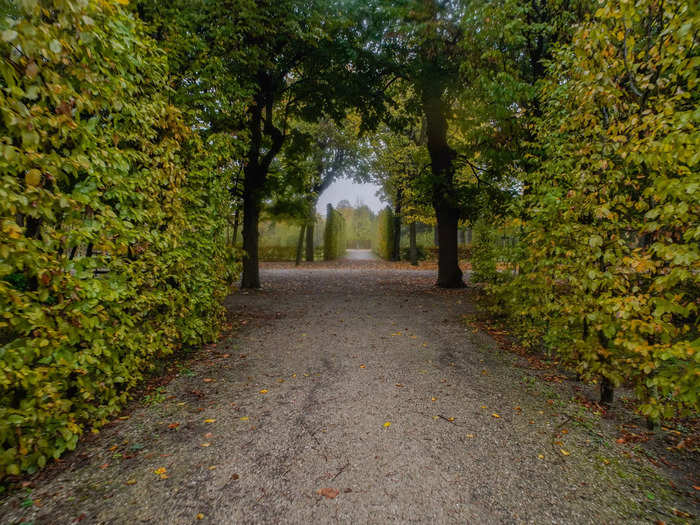 The garden had hedge mazes, which I