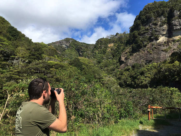 The national park next to the Great Coast Road is also a rainforest, and for our next stop, we pulled over and enjoy the Westland Temperate Rainforest.