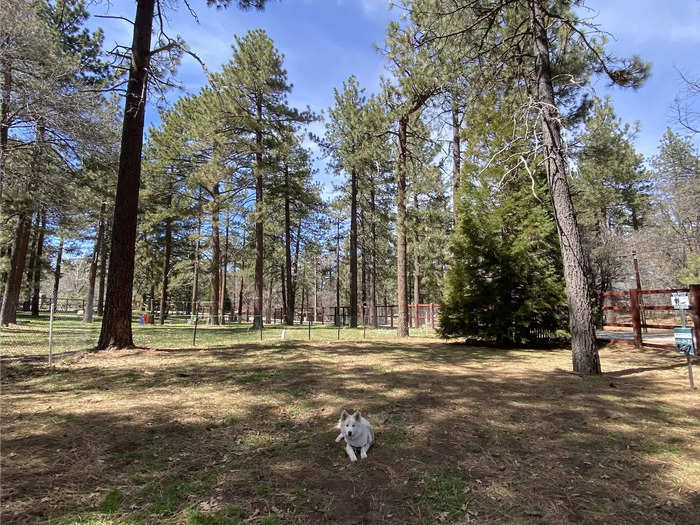 We get our use out of the community dog park.