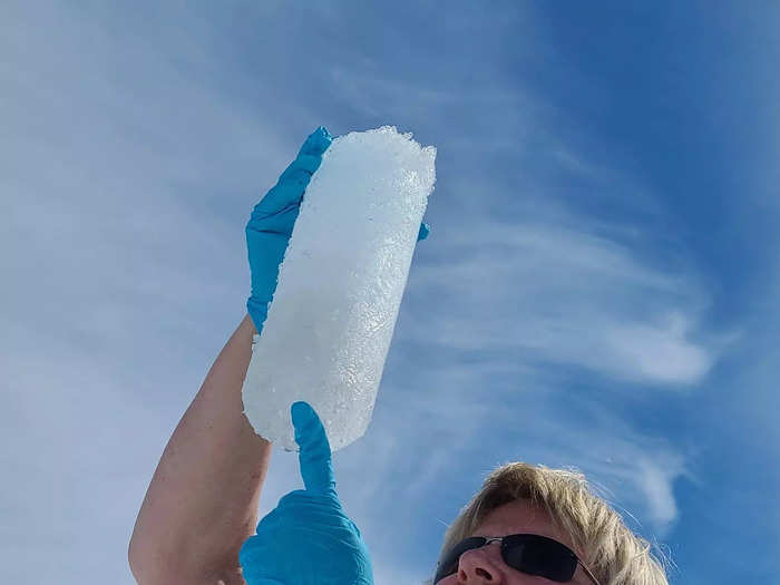 "The moment you have melting, the algae just are happy," Liane G. Benning, who studies purple ice algae in Greenland, told Insider.